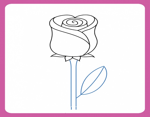 Cách vẽ hoa hồng đơn giản với phần đài, lá, thân